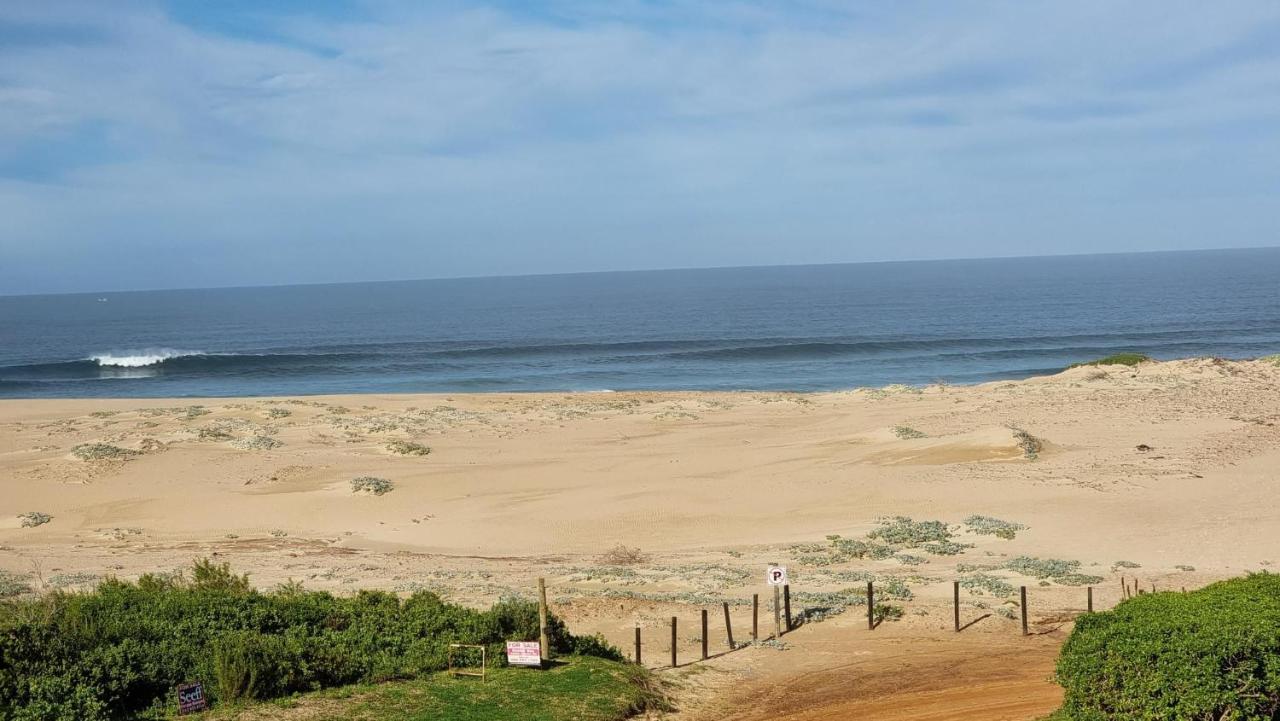 Beautiful Cottage Fantastic Beach Oyster Bay Bagian luar foto